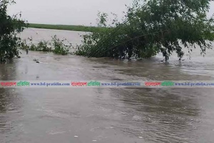 তিস্তার বাঁধ ভেঙে দুই গ্রাম প্লাবিত, একজনের মৃত্যু