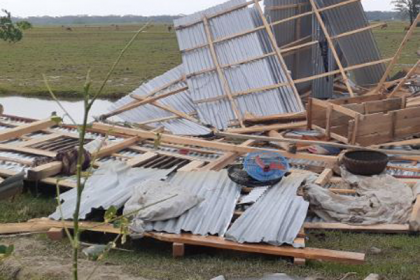 পাথরঘাটায় টর্নেডোয় ১৫ বসতঘর বিধ্বস্ত

