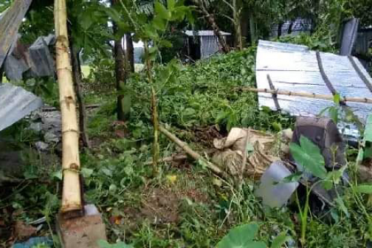 ব্রাহ্মণবাড়িয়ায় ঝড়ে অর্ধশত ঘর লন্ডভন্ড, আহত ৫

