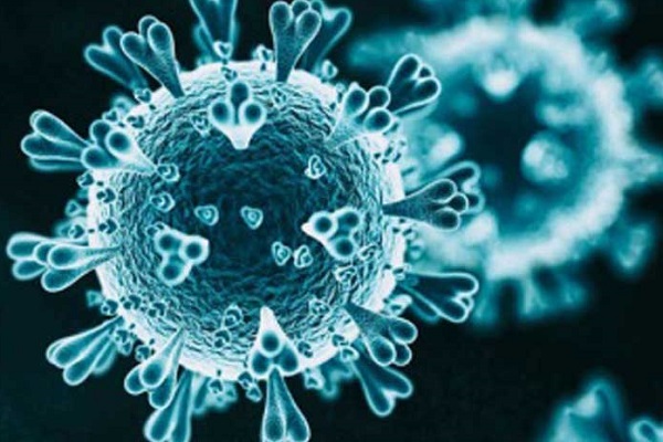 ফরিদপুরে ২০০ ছাড়িয়ে গেল করোনায় আক্রান্তের সংখ্যা