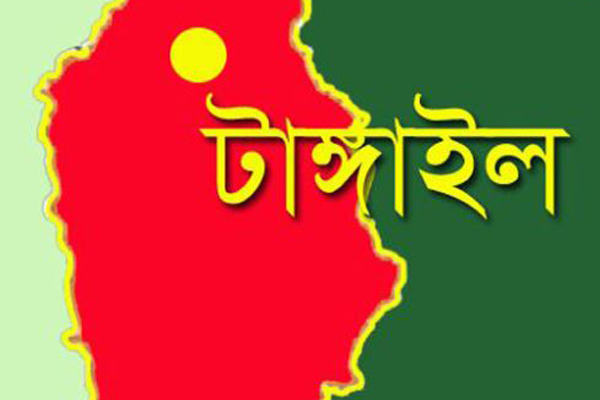 মির্জাপুরে পূর্ব বিরোধের জের ধরে ৬ জনকে কুপিয়ে জখম
