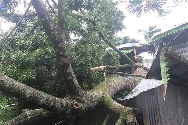 ভোলায় ঘূর্ণিঝড়ে দেড় শতাধিক ঘর-বাড়ি বিধ্বস্ত
