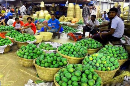 চাঁপাইনবাবগঞ্জে আমের বাজার নিয়ে দুশ্চিন্তায়  ব্যবসায়ীরা