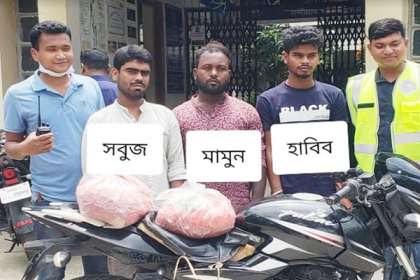 নন্দীগ্রামে ৩ কেজি গাঁজাসহ ৩ মাদক কারবারি গ্রেফতার