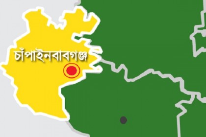 চাঁপাইনবাবগঞ্জে বাজারজাতের সময় অপরিপক্ক আম জব্দ
