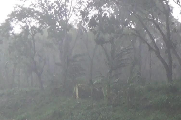 ঝিনাইদহে মুষলধারে বৃষ্টি, ঝড়ো হাওয়া