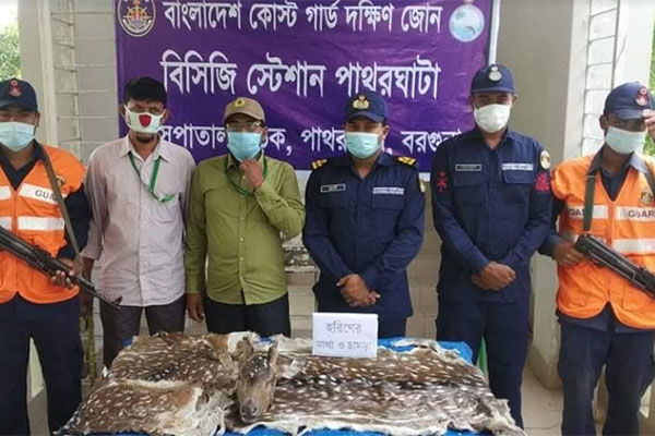 পাথরঘাটায় হরিণের মাথা-চামড়া উদ্ধার