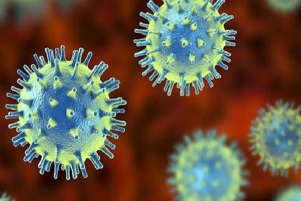 কালিয়াকৈরে আরও ৮ করোনা রোগী সনাক্ত 