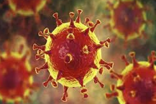 বরিশালে ৯ পুলিশসহ আরও ২২ জনের করোনা সনাক্ত 