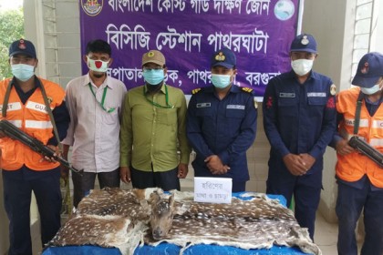 পাথরঘাটায় হরিণের মাথা ও চামড়া উদ্ধার