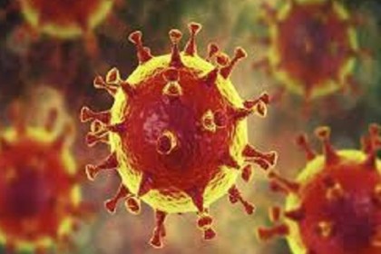 বরিশালে ৯ পুলিশসহ আরও ২২ জনের করোনা সনাক্ত 