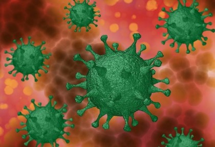 বাগেরহাটে আরও ২ জন করোনা রোগী সনাক্ত  