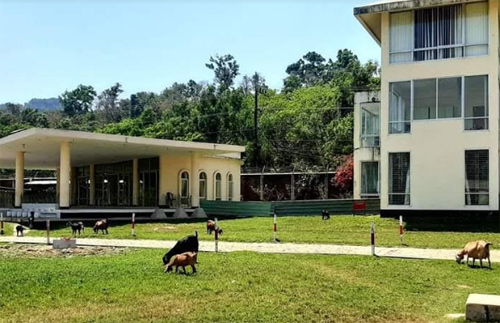 টেকনাফ স্থলবন্দরে গতমাসে ৮ কোটি  টাকার রাজস্ব আদায়  
