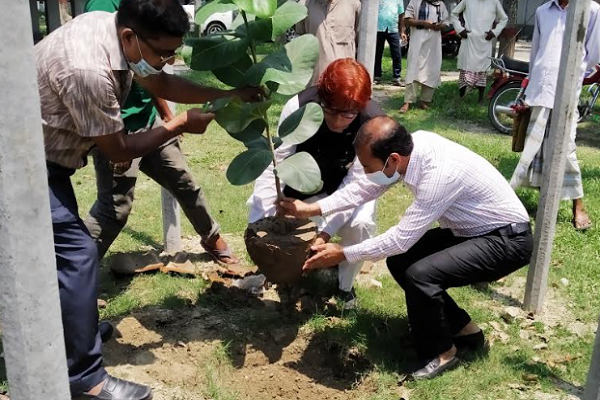 বড়াইগ্রামে বঙ্গবন্ধুর জন্মশতবার্ষিকী উপলক্ষে বটবৃক্ষের চারা রোপণ