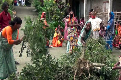 সিলেটে রাতের আঁধারে চা গাছ কর্তন, শ্রমিকদের বিক্ষোভ

