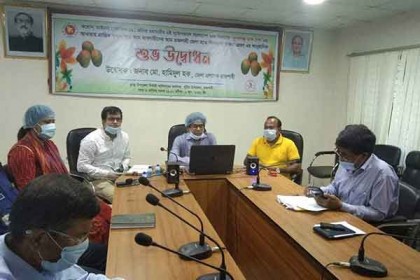 চাষিদের জন্য বিনা ভাড়ায় আম পরিবহন শুরু