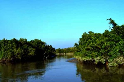 সুন্দরবনে ৬ ঝিনুক শ্রমিককে পিটিয়ে জখম, একজনকে অপহরণ