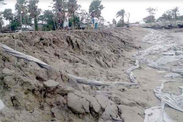 কলাপাড়ায় নিজামপুর বেড়িবাঁধ ক্ষত-বিক্ষত