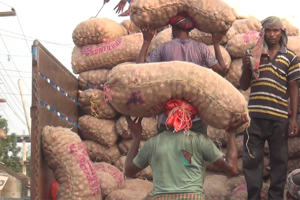 কমতে শুরু করেছে পিয়াজের দাম 

