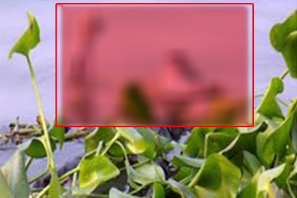 ৫০ লাখ টাকা মুক্তিপণ না পেয়ে শিক্ষার্থীকে হত্যা