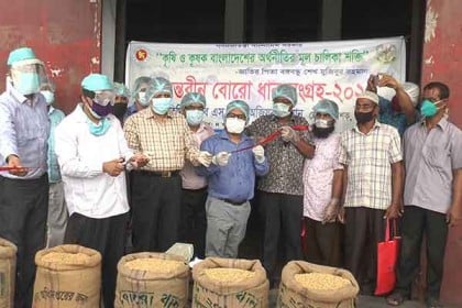 বরিশালে প্রান্তিক কৃষকের কাছ থেকে বোরো ধান সংগ্রহ অভিযানের উদ্বোধন 