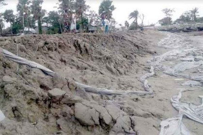 কলাপাড়ায় নিজামপুর বেড়িবাঁধ ক্ষত-বিক্ষত