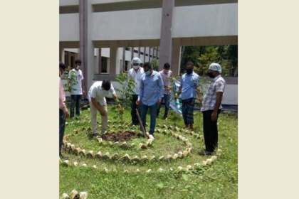 নেত্রকোনায় মাসব্যাপী বৃক্ষরোপণ অভিযানের উদ্বোধন