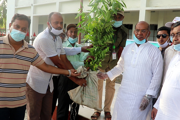 কলাপাড়ায় বৃক্ষরোপণ কর্মসূচির উদ্বোধন

