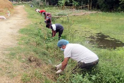 বরিশালে করোনায় মৃতদের স্মরণে সড়কের দুই পাশে বৃক্ষরোপণ