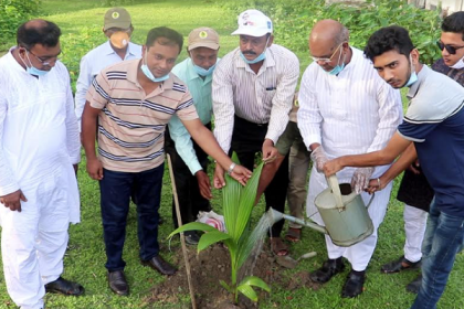 কলাপাড়ায় বৃক্ষ রোপন কর্মসূচির উদ্বোধন 