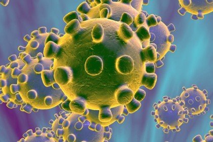 মাদারীপুরে করোনায় নতুন করে ২১ জন আক্রান্ত