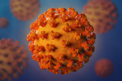 করোনা জয় করে বাড়ি ফিরলেন গোপালগঞ্জের ১০১ বছরের খবিরুন্নেছা