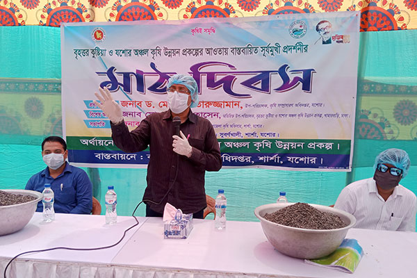 শার্শায় সূর্যমুখী প্রদর্শনীর মাঠ দিবস অনুষ্ঠিত