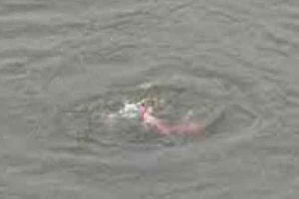 নেত্রকোনায় পুকুরে পড়ে শিশুর মৃত্যু