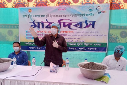 শার্শায় সূর্যমুখী প্রদর্শনীর মাঠ দিবস অনুষ্ঠিত