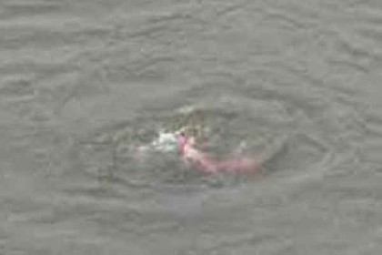 নেত্রকোনায় পুকুরে পড়ে শিশুর মৃত্যু