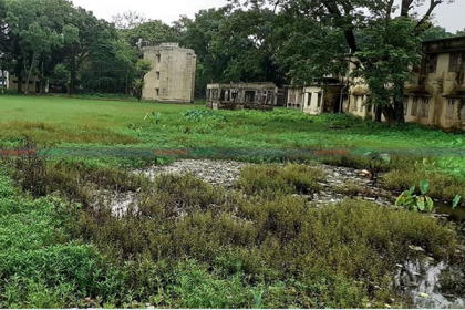 স্বাস্থ্য কমপ্লেক্সের পরিত্যক্ত মাঠ যেন জীবাণু উৎপাদনের কারখানা!