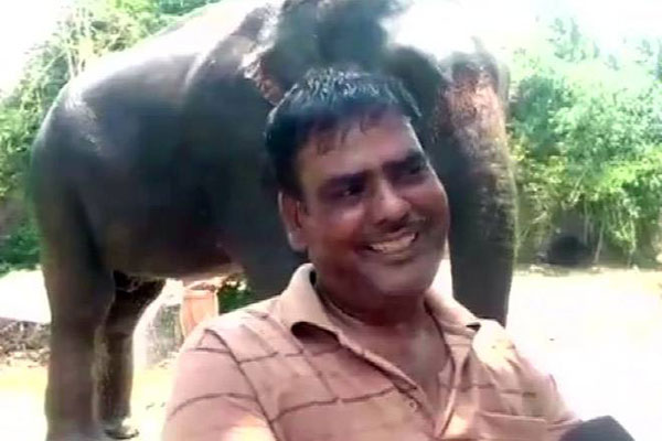 ৫ কোটি রুপি সম্পত্তির অধিকারী হলো ২ হাতি!