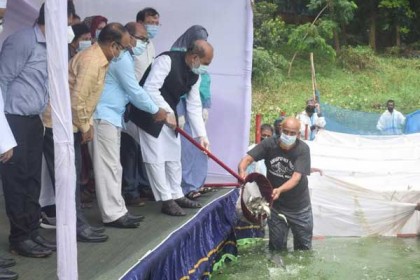 দেশের অর্থনীতিতে বড় ভূমিকা রাখবে মাছ: মৎস্য ও প্রাণিসম্পদ মন্ত্রী