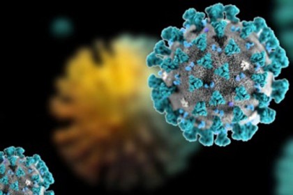 নাটোরে ৩ উপজেলায় নতুন করে ৭ জন করোনায় আক্রান্ত