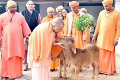 গরু জবাই করলে ১০ বছরের কারাদণ্ড