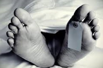 জীবননগরে গাছের ডালে পিষ্ট হয়ে ডাব বিক্রেতা নিহত 