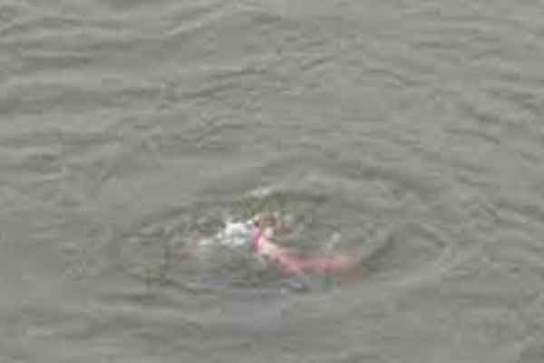 দিনাজপুরে পুকুরের পানিতে ডুবে দুই শিশুর মৃত্যু