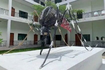 মশার লালা থেকে তৈরি ভ্যাকসিন, রুখবে যেকোনও ভাইরাস!