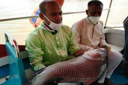 হালদা থেকে মা মাছ শিকার করায় জরিমানা

