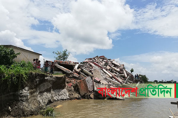টাঙ্গাইলে যমুনায় বিলীন দুই শতাধিক ঘরবাড়ি