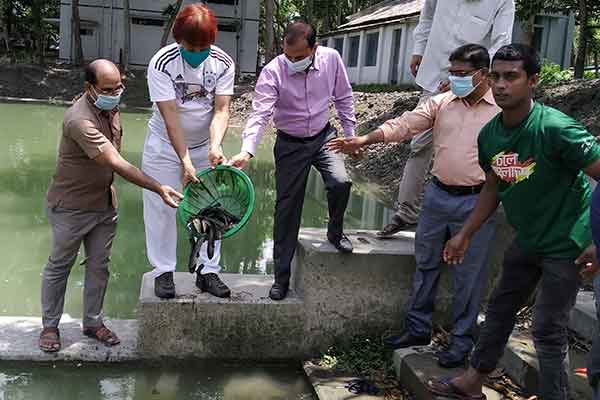 দেশীয় মাছ রক্ষার্থে সবাইকে এগিয়ে আসার আহ্বান ডা. সিদ্দিকুর রহমান পাটোয়ারীর