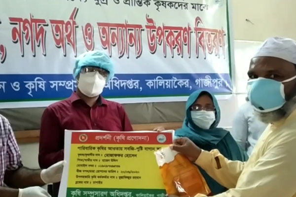 কালিয়াকৈরে কৃষকদের মধ্যে বিনামূল্যে বীজ বিতরণ