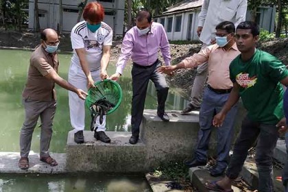 দেশীয় মাছ রক্ষার্থে সবাইকে এগিয়ে আসার আহ্বান ডা. সিদ্দিকুর রহমান পাটোয়ারীর