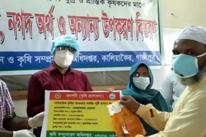 কালিয়াকৈরে কৃষকদের মধ্যে বিনামূল্যে বীজ বিতরণ